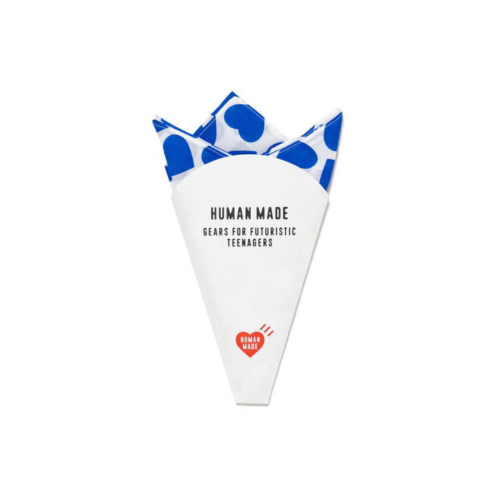 Big Bandana #2
