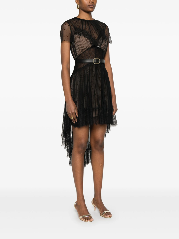 Black Dot Mesh Mini Dress