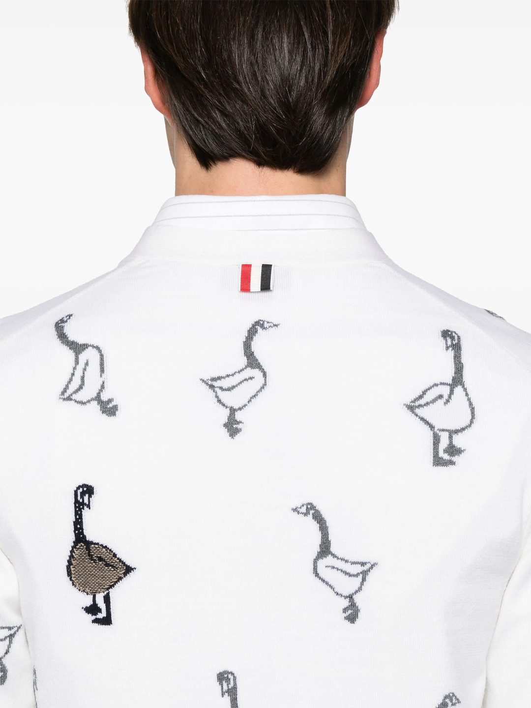 Scenic Jersey Intarsia Cashmere V Neck Cardigan