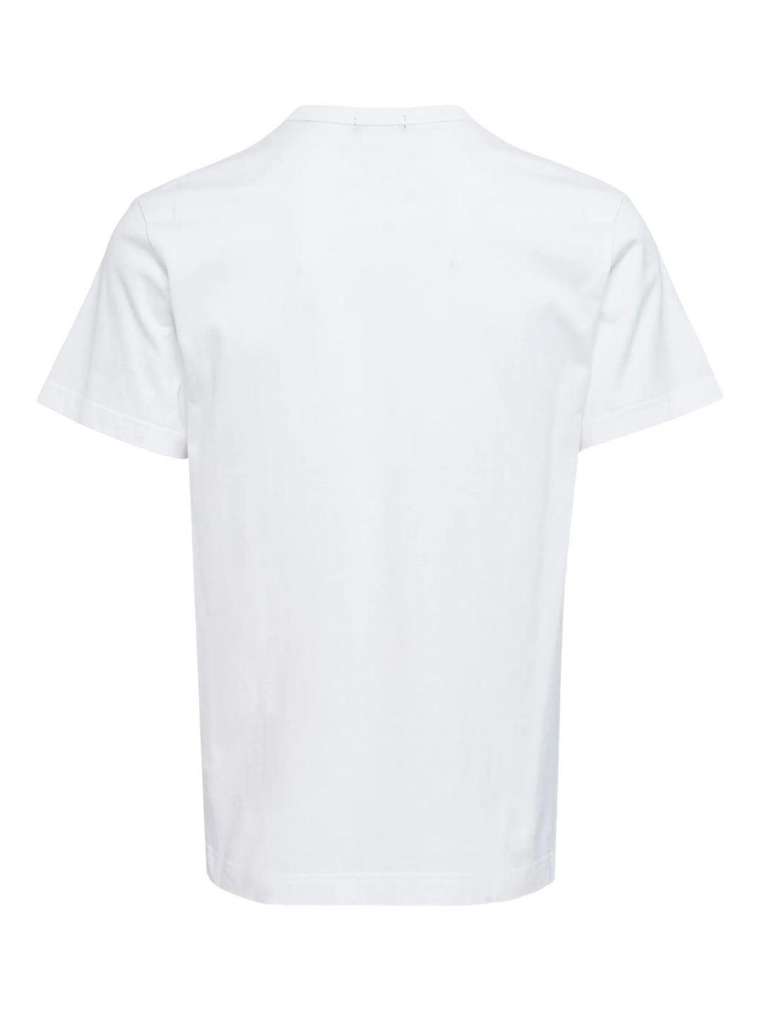 Cotton Jersey Coloured T-Shirt