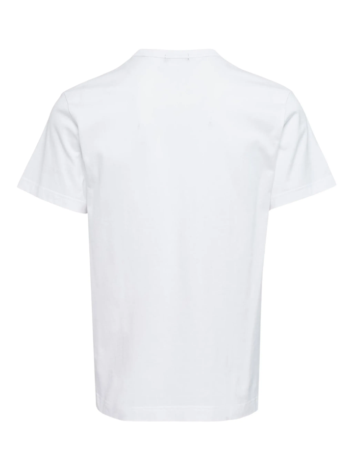 Cotton Jersey Coloured T-Shirt