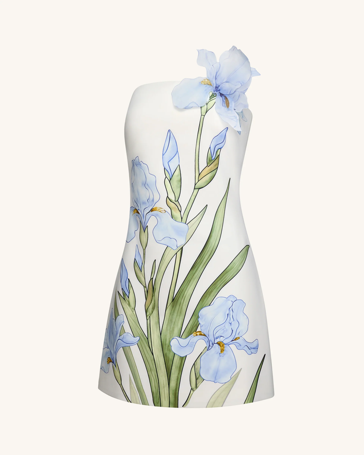 Floral Printed Mini Dress