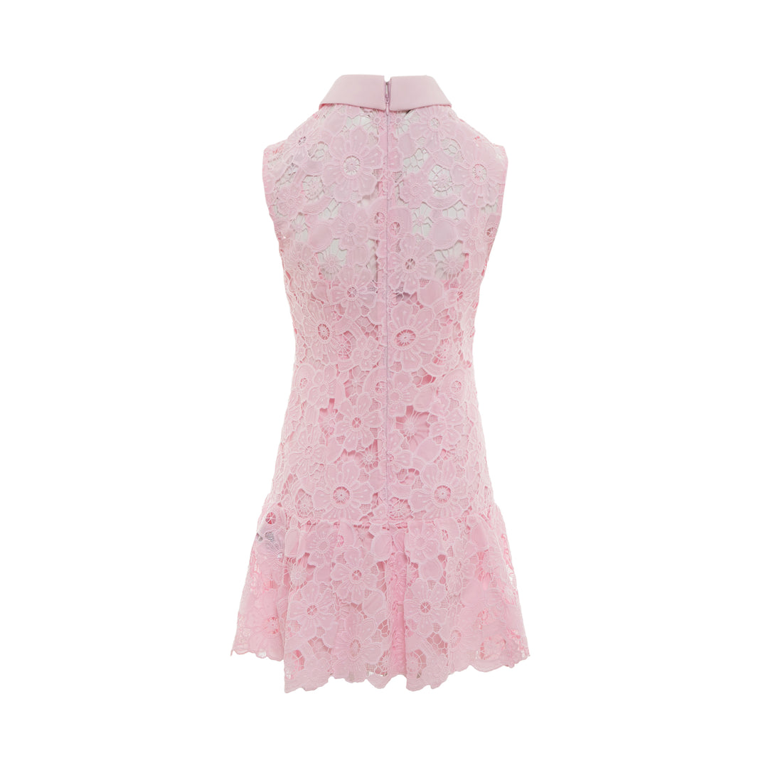 Pink Lace Collared Mini Dress