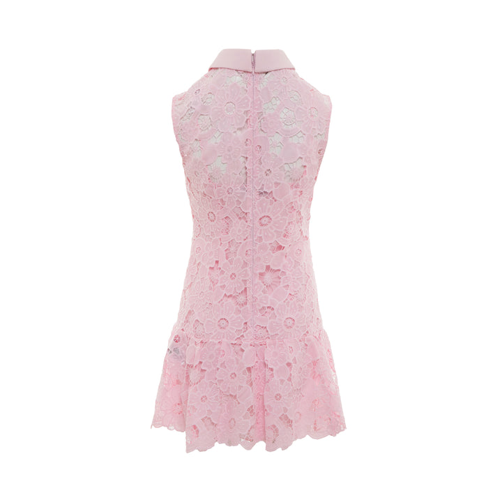 Pink Lace Collared Mini Dress