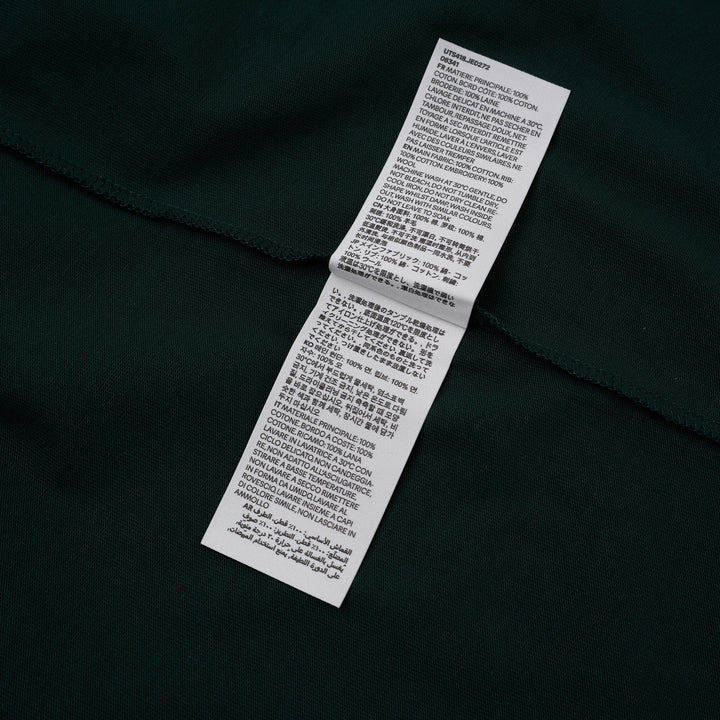 AMI Paris oversized t-shirt in dark green with cream contrast sleeves and collar, featuring white felt AMI PARIS lettering across the chest - view 4