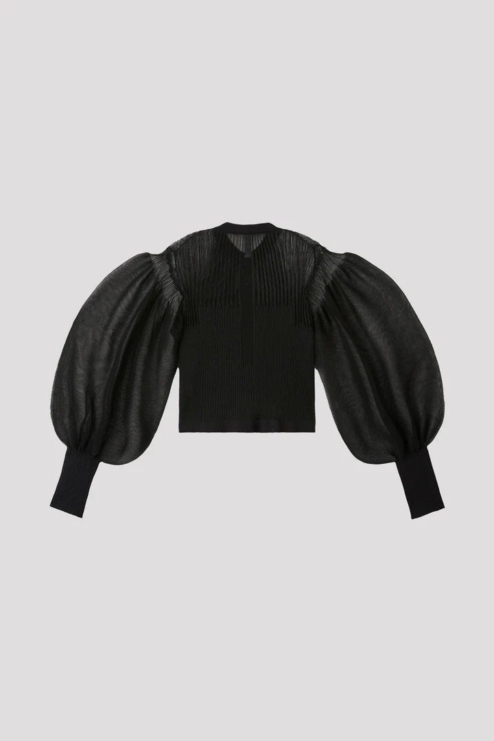 Fluted Lucent Glitter Puff Sleeve Top