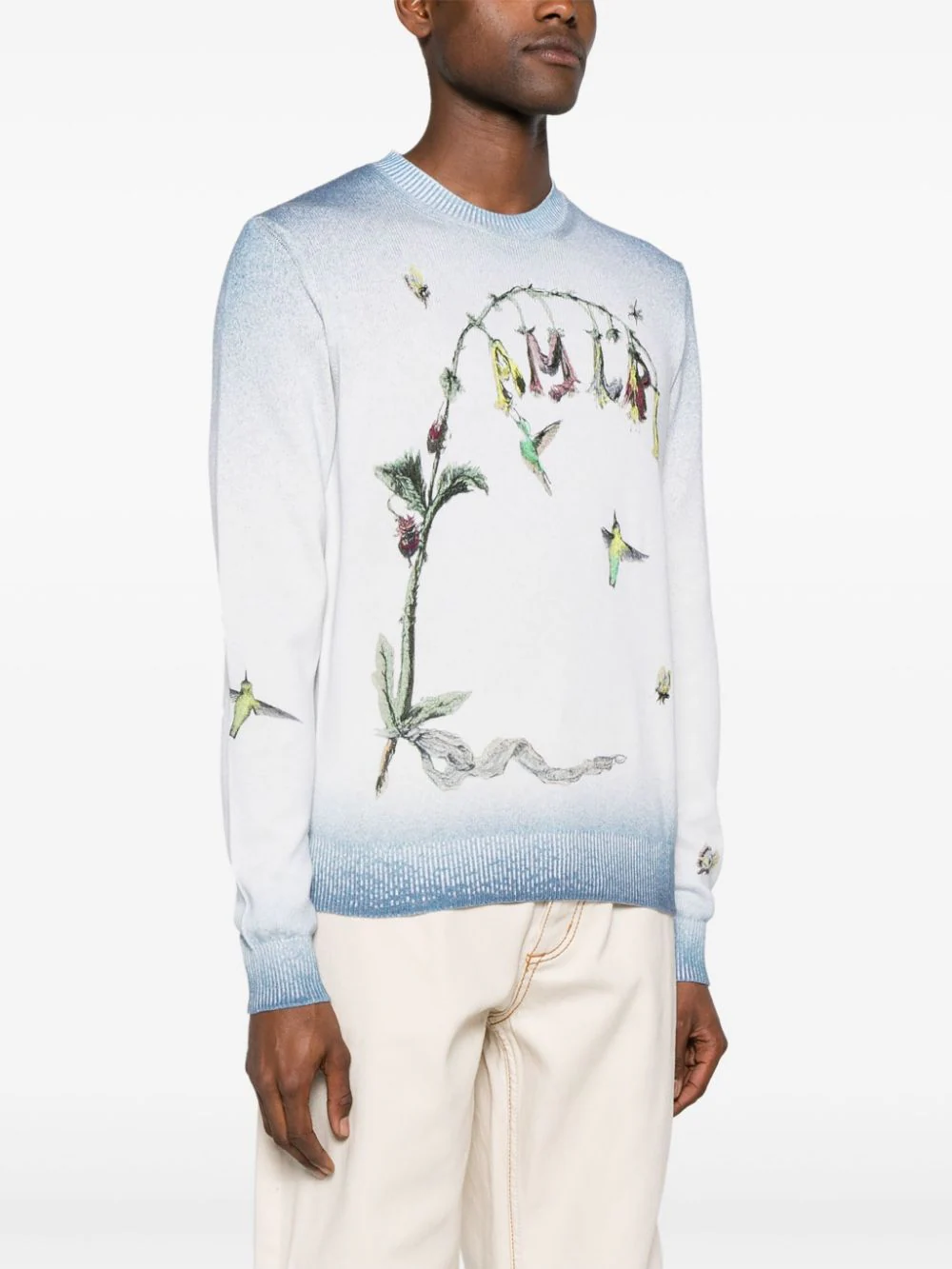 Embroidered Hummingbird Crewneck Sweatshirt