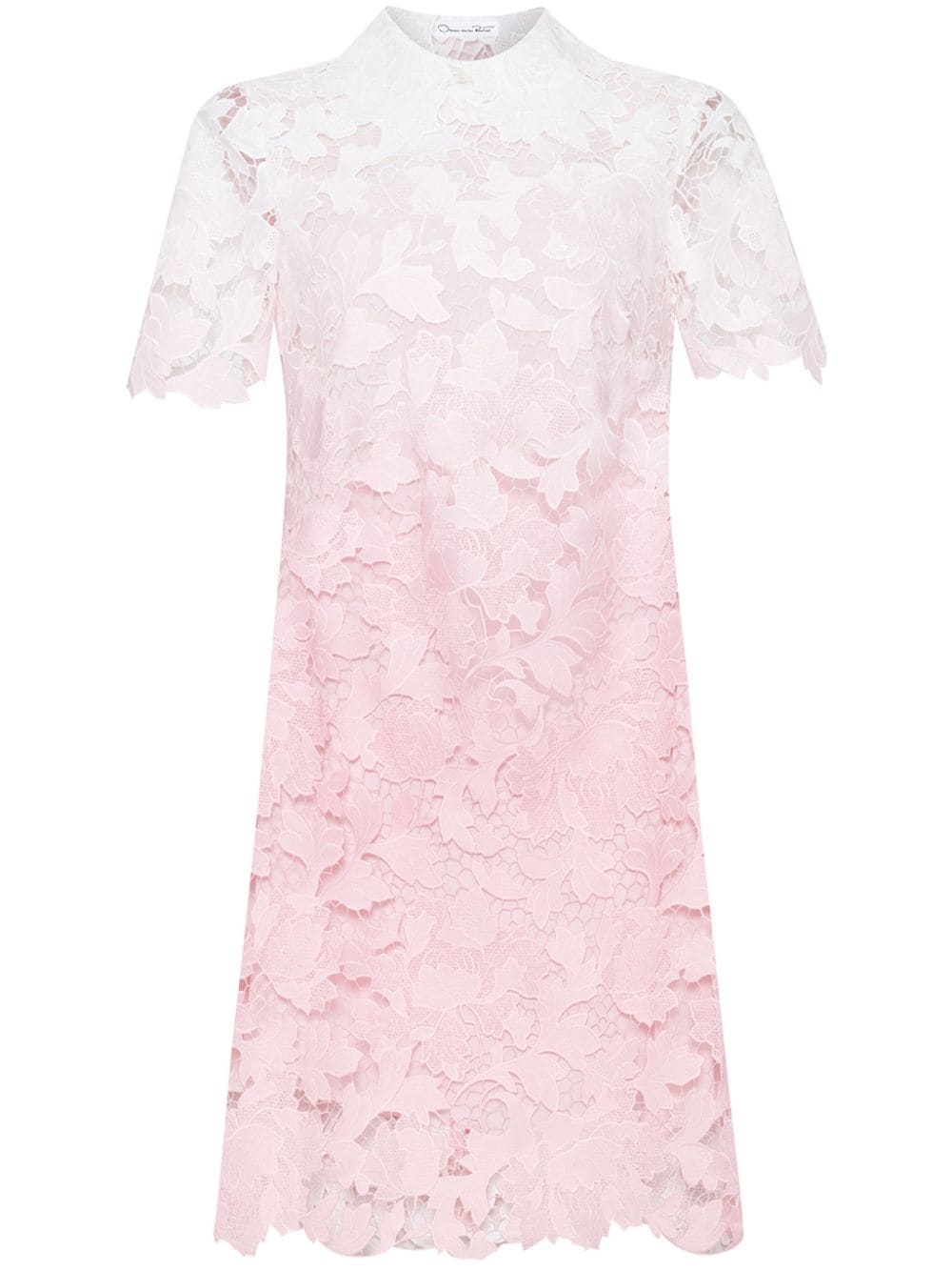 Ombre Peony Guipure Shift Dress