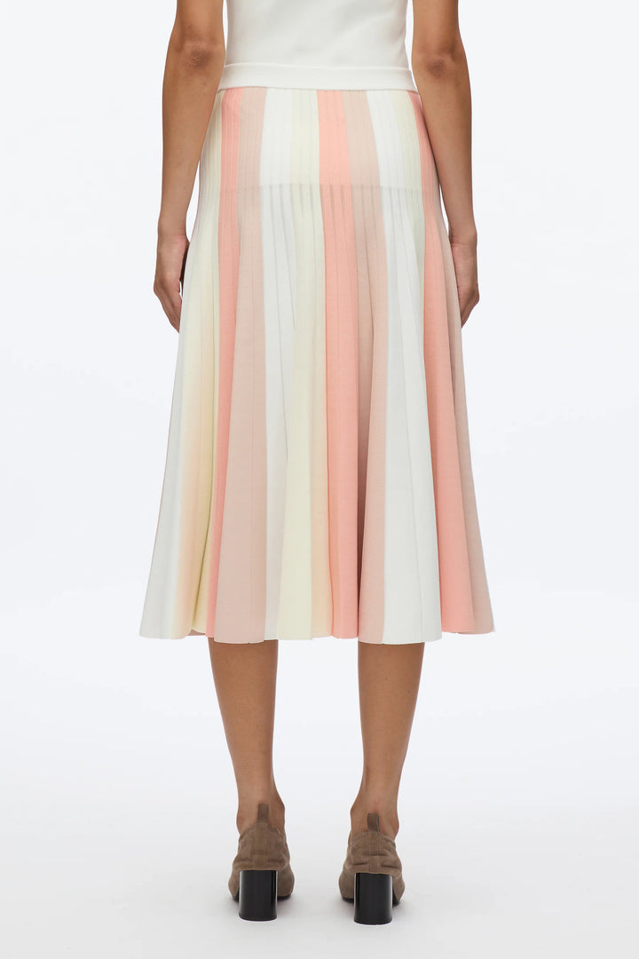Colorblock Stripe Knit Skirt