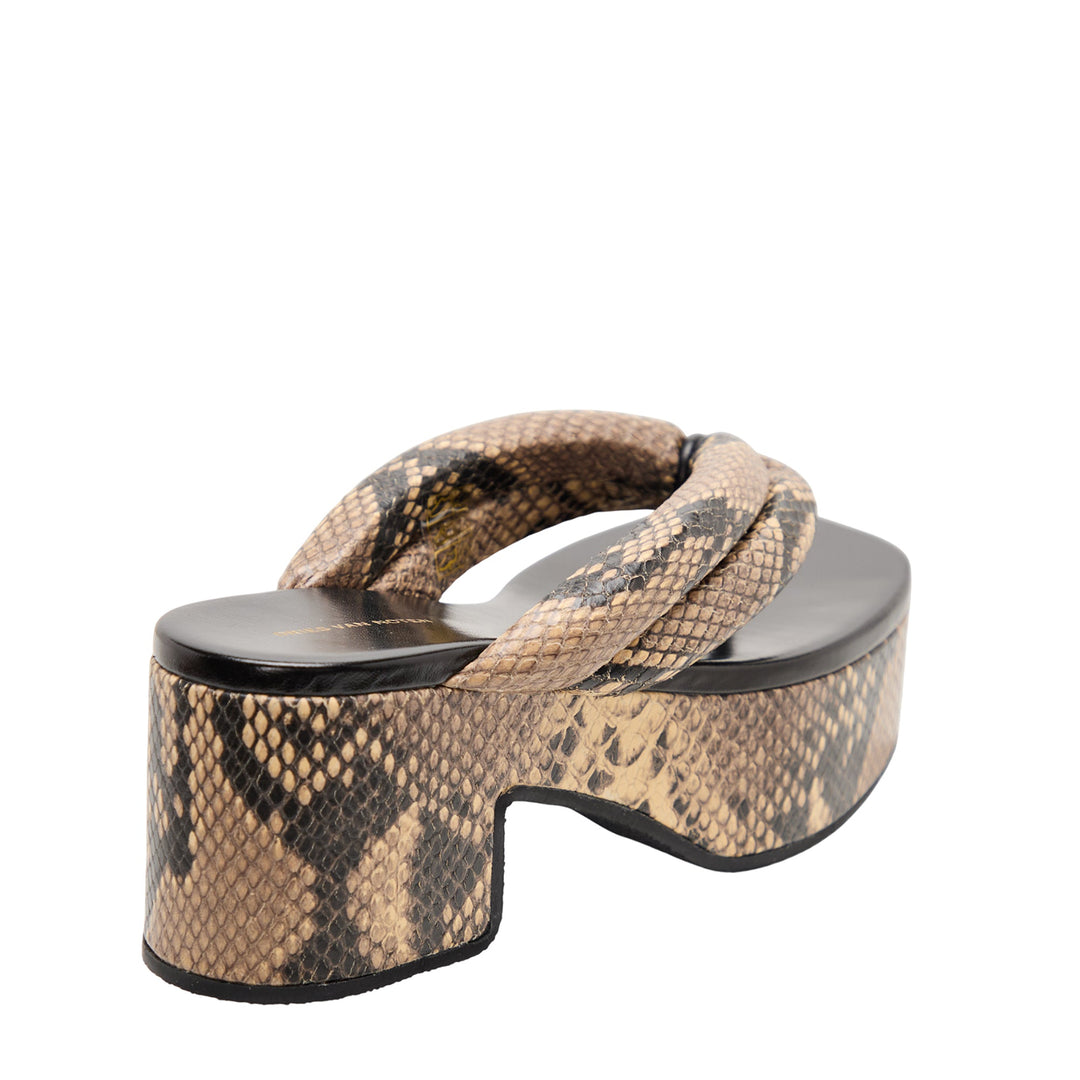 Alligator Flatform