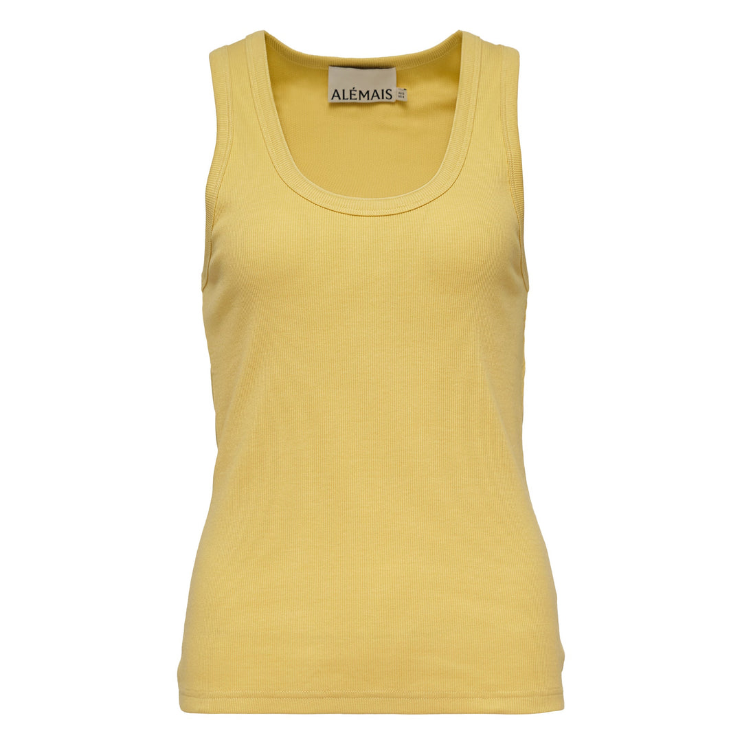 Sunlit Tank