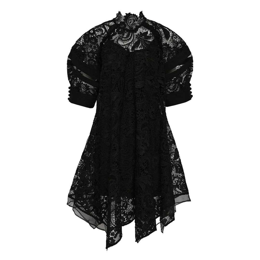 Corded Embroidered Lace Dress