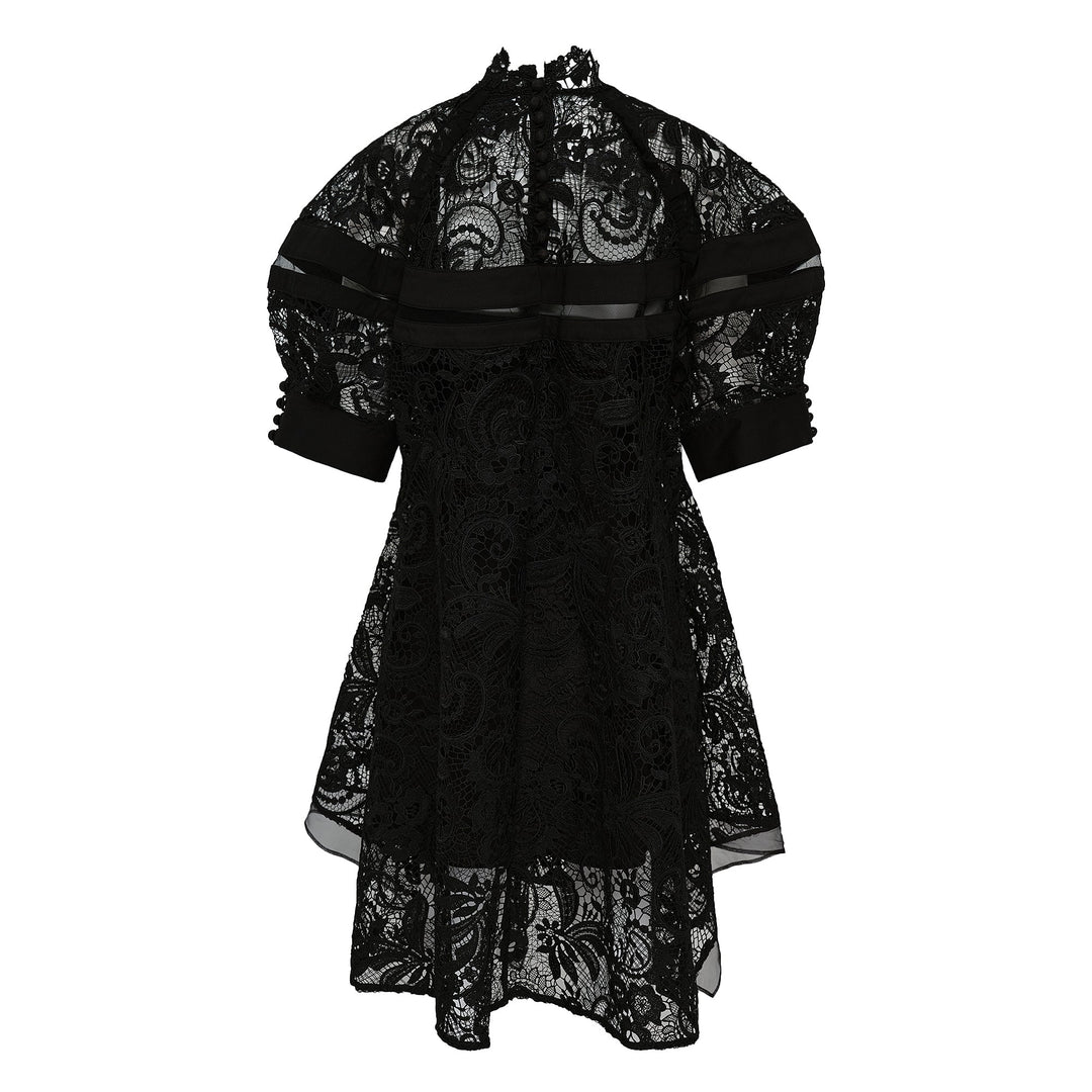 Corded Embroidered Lace Dress