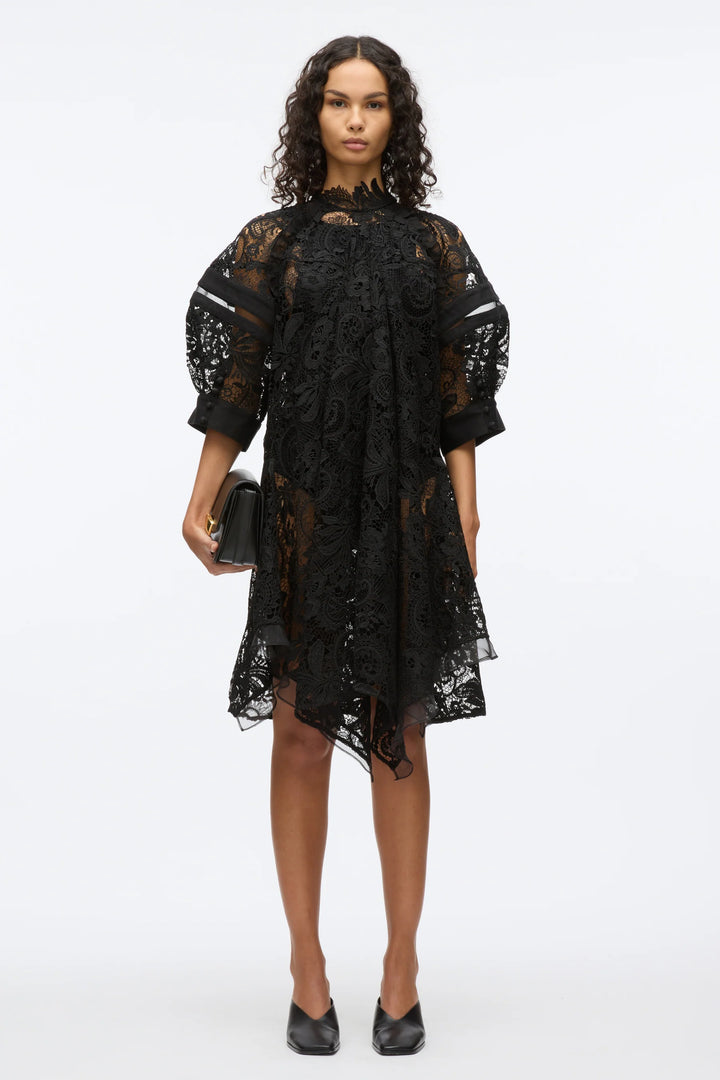 Corded Embroidered Lace Dress