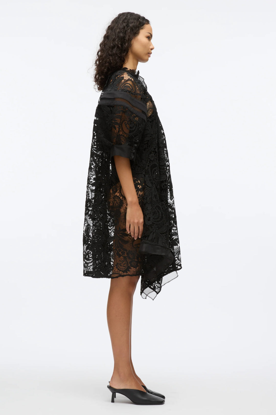 Corded Embroidered Lace Dress