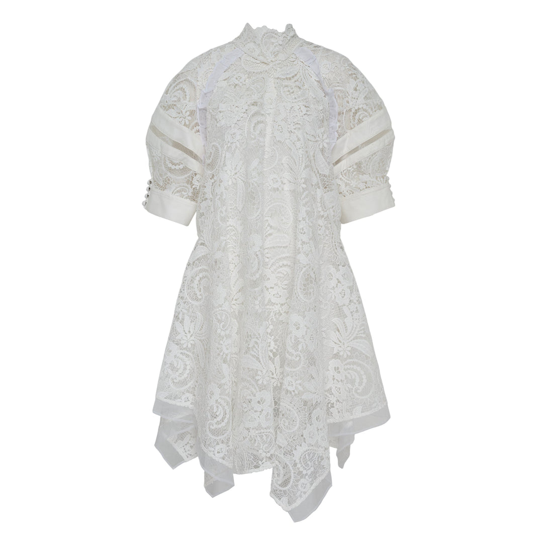 Corded Embroidered Lace Dress