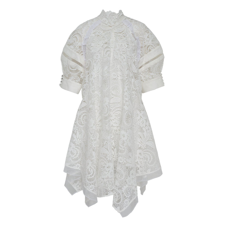 Corded Embroidered Lace Dress