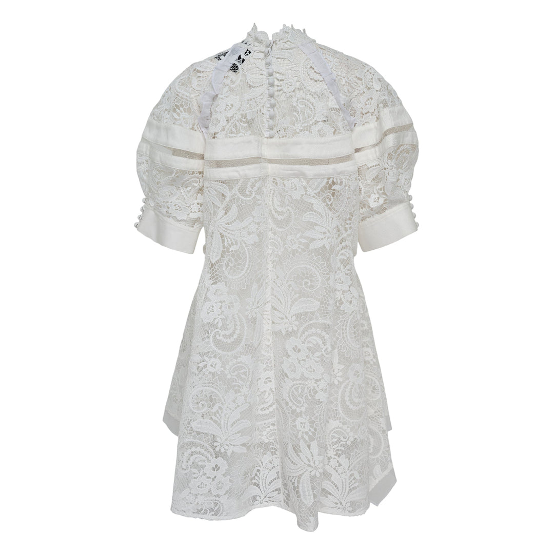 Corded Embroidered Lace Dress