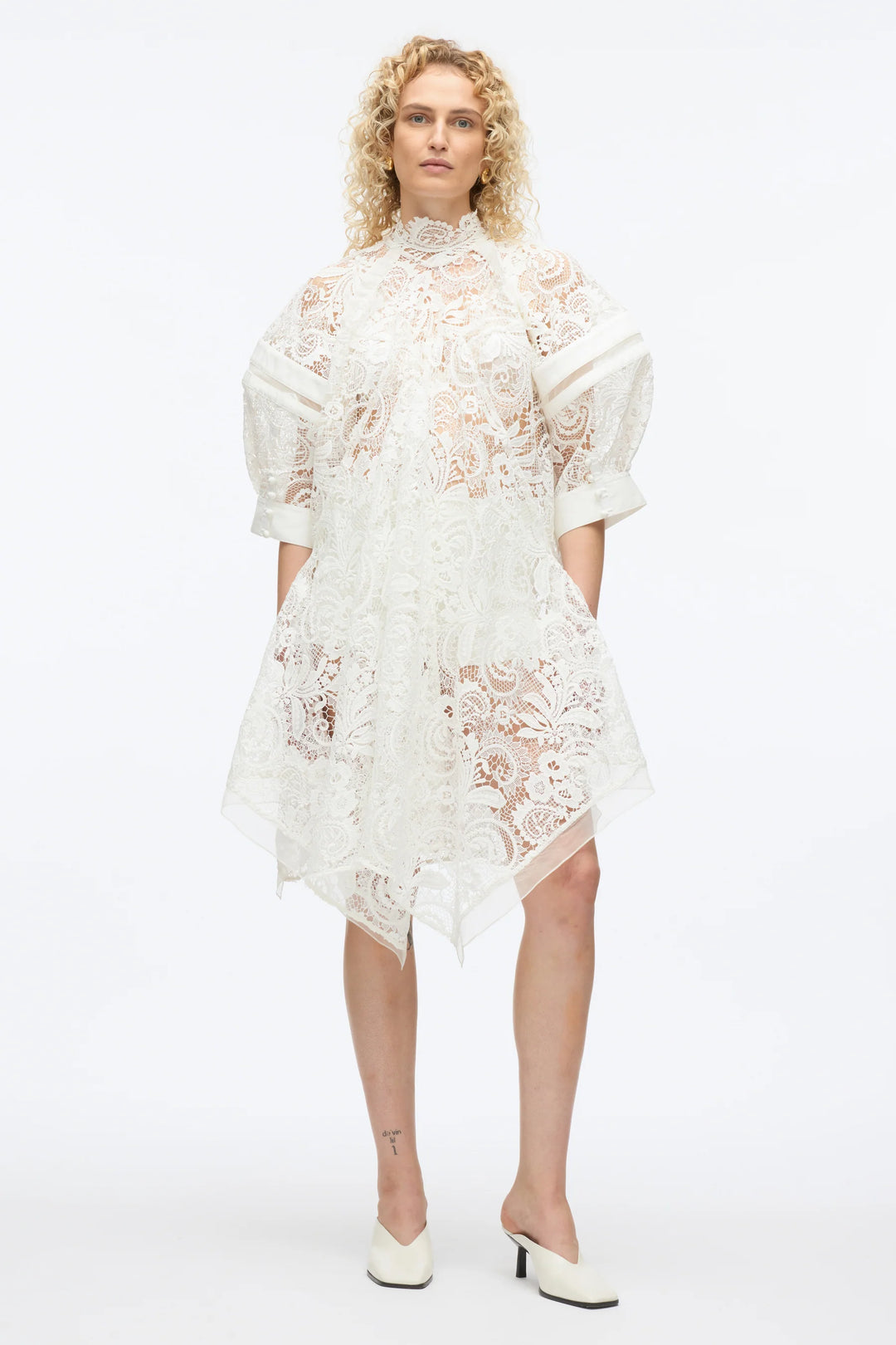 Corded Embroidered Lace Dress
