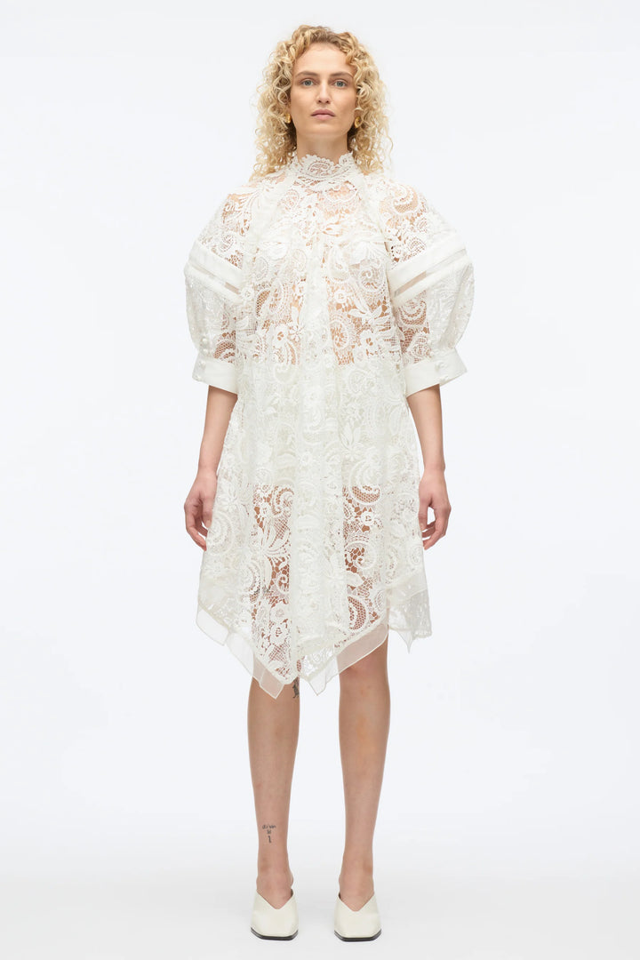 Corded Embroidered Lace Dress