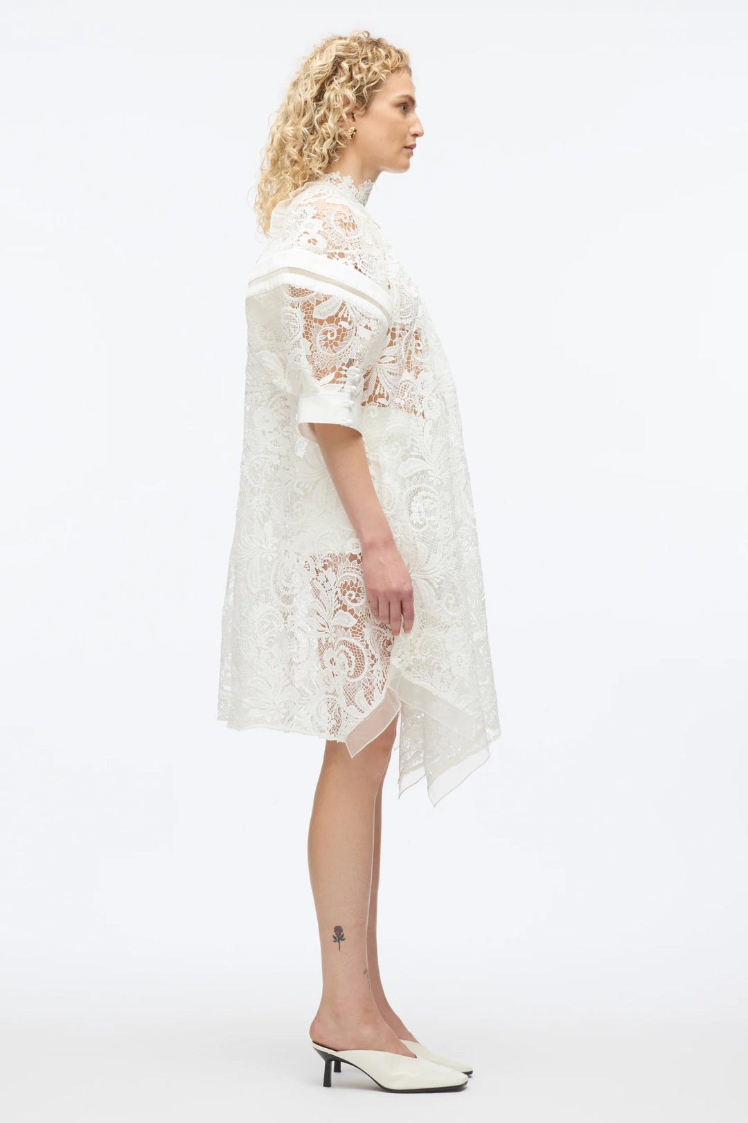 Corded Embroidered Lace Dress