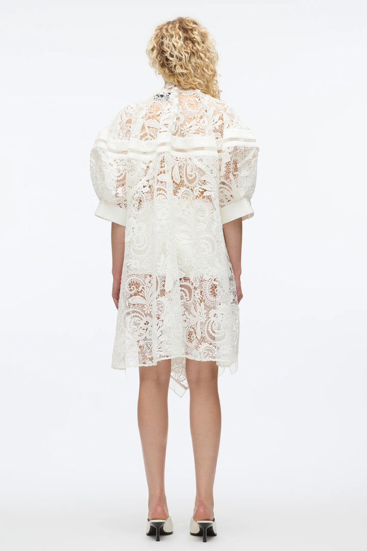 Corded Embroidered Lace Dress