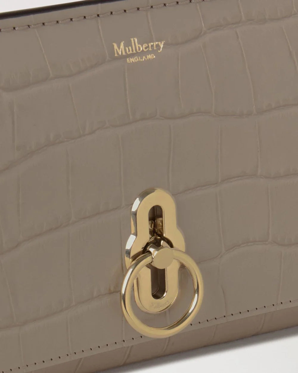 Amberley Clutch Shiny