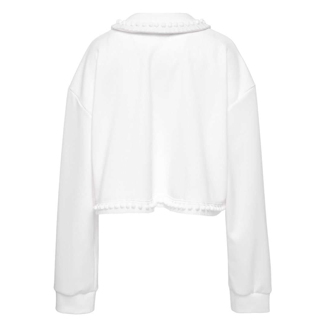Applique Cropped Hoodie