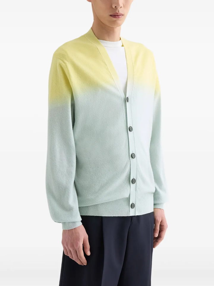 Long Sleeve V Neck Cardigan