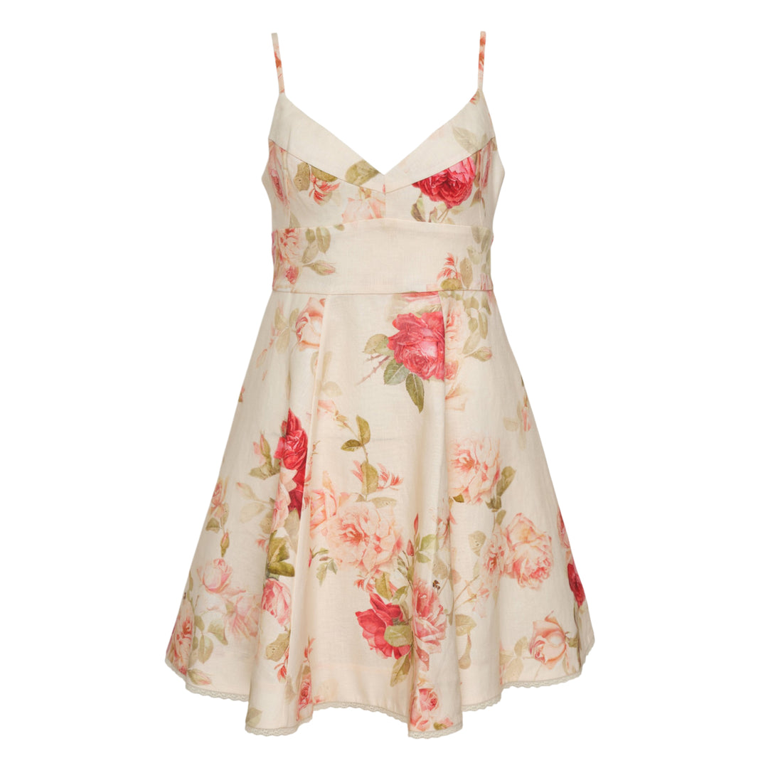 Roselight Picnic Mini Dress