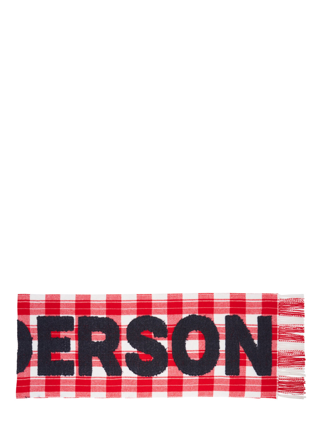 JW Anderson Logo Fil Coupé Check Scarf - view 2