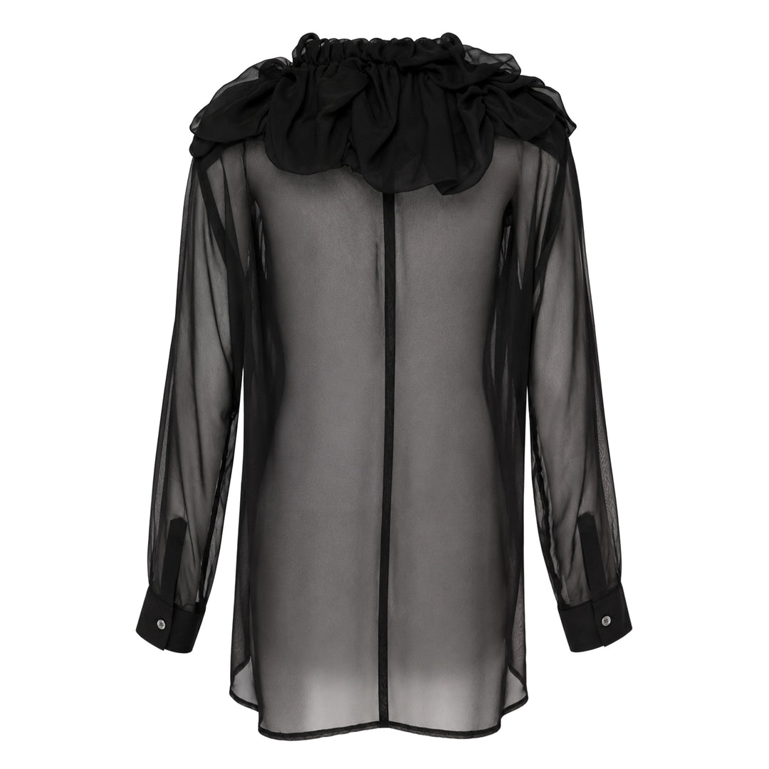 Sheer Ruffle Collar Blouse