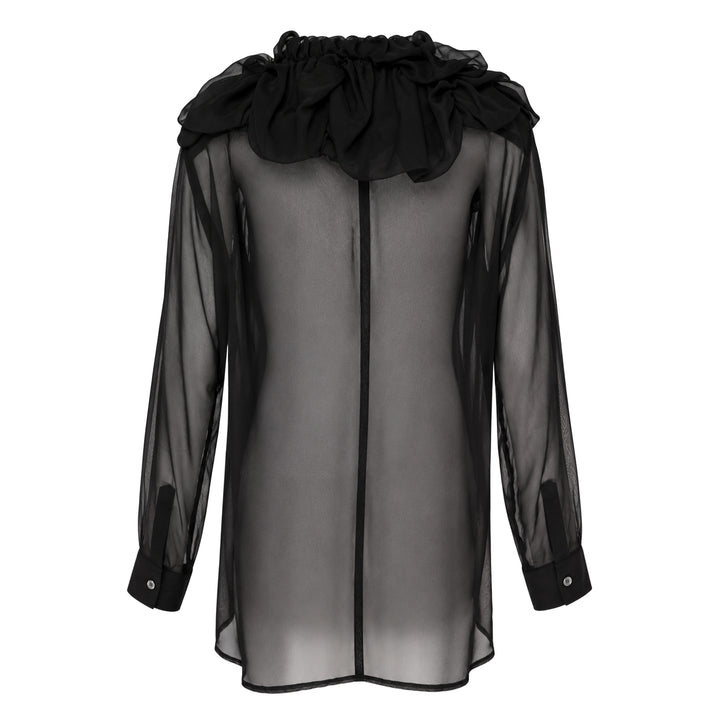 Sheer Ruffle Collar Blouse