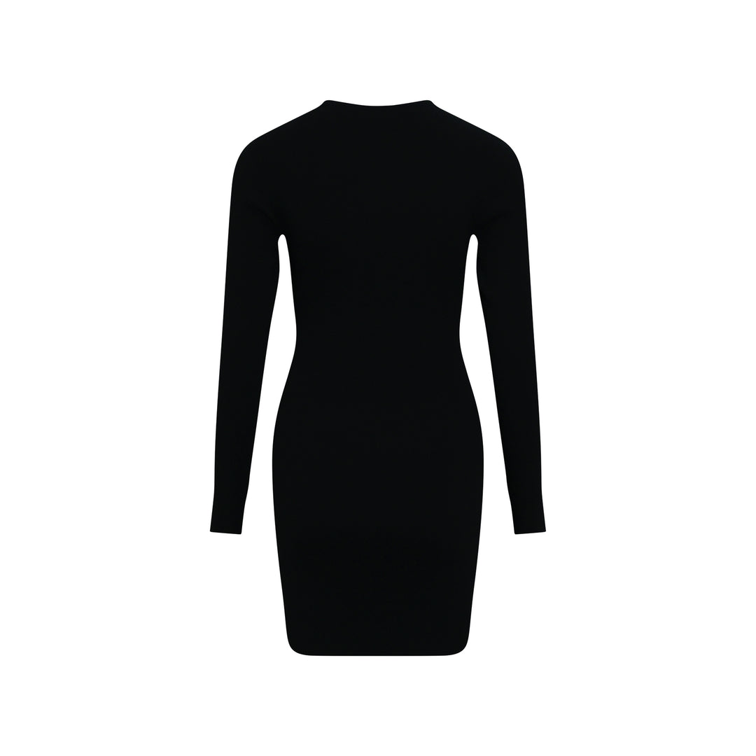 Long Sleeve Crew Neck Dress