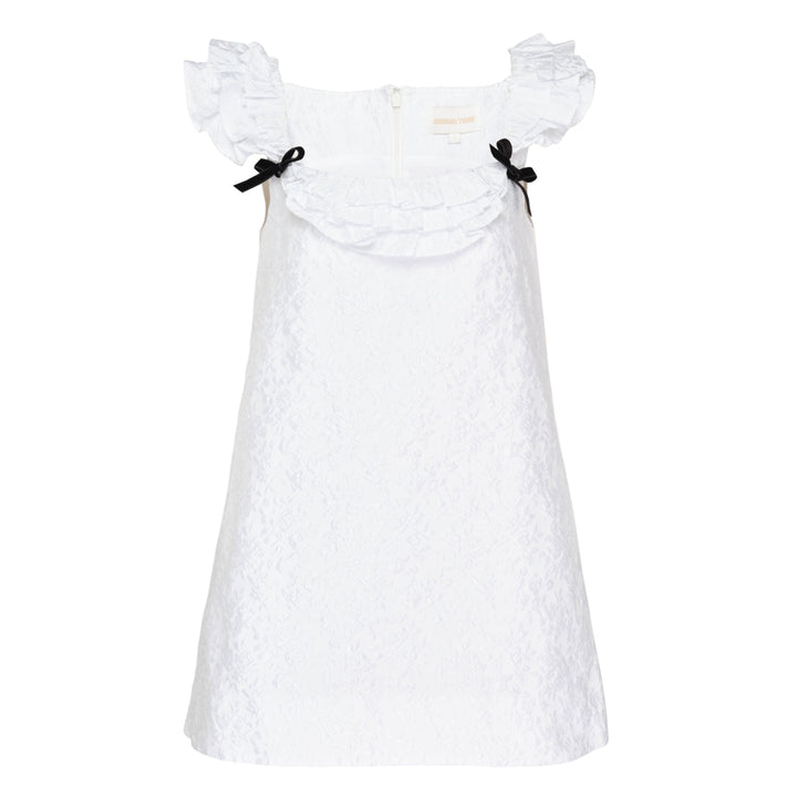 Ruffle Trim Velvet Mini Dress