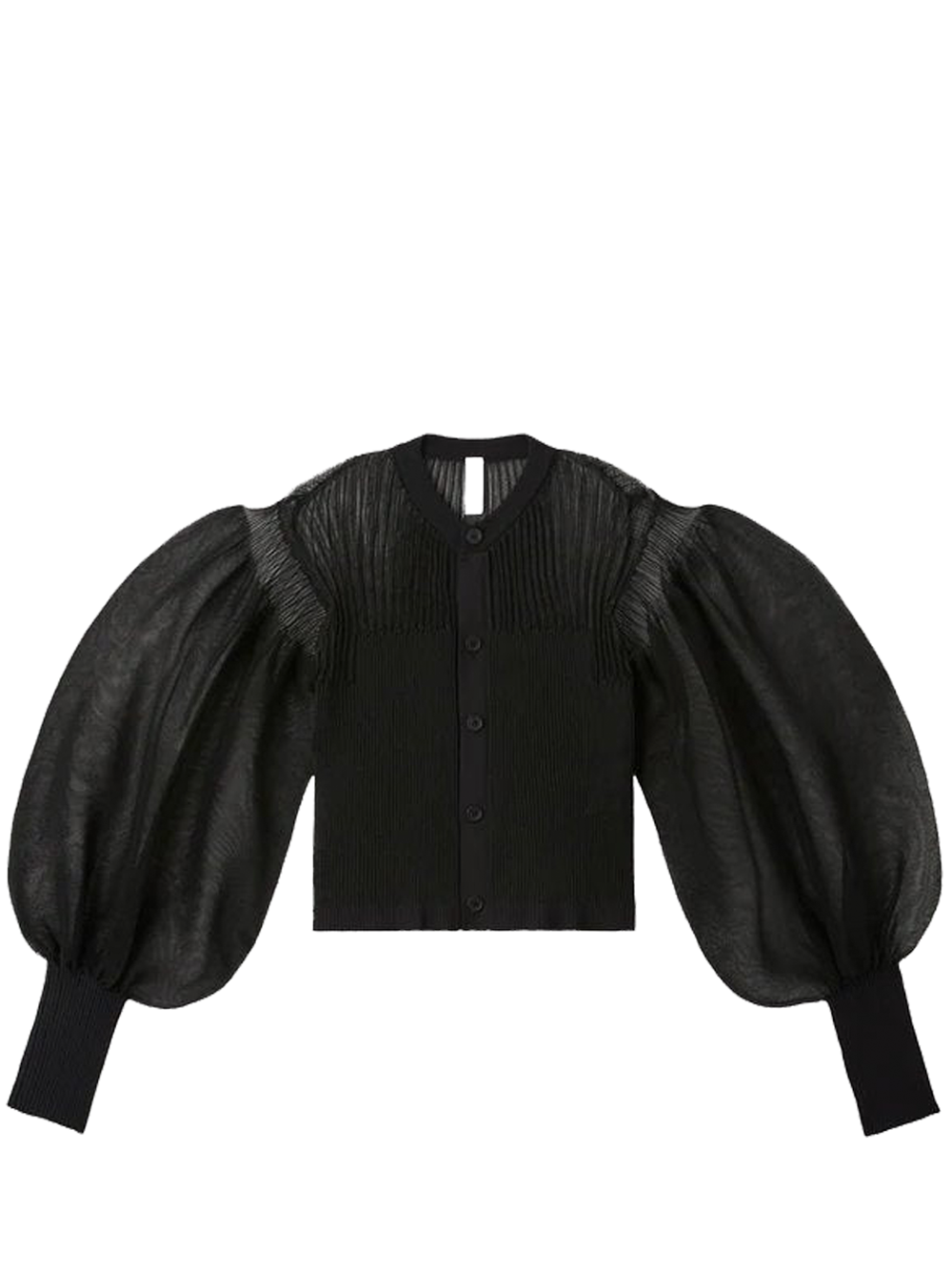 Fluted Lucent Glitter Puff Sleeve Top