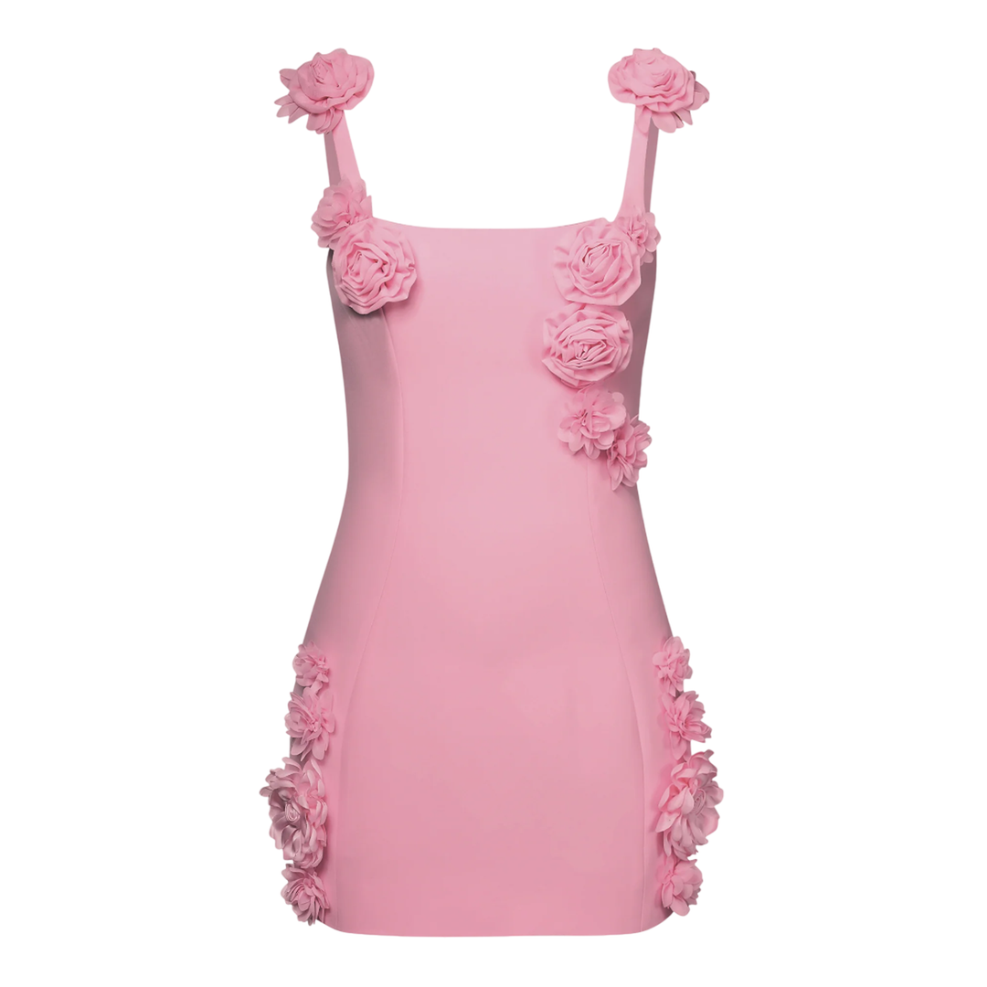 Elaina Rosette Applique Mini Dress