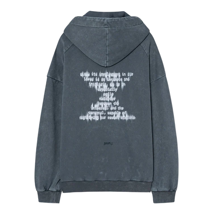 Language Lettering Embroidery Hoodie