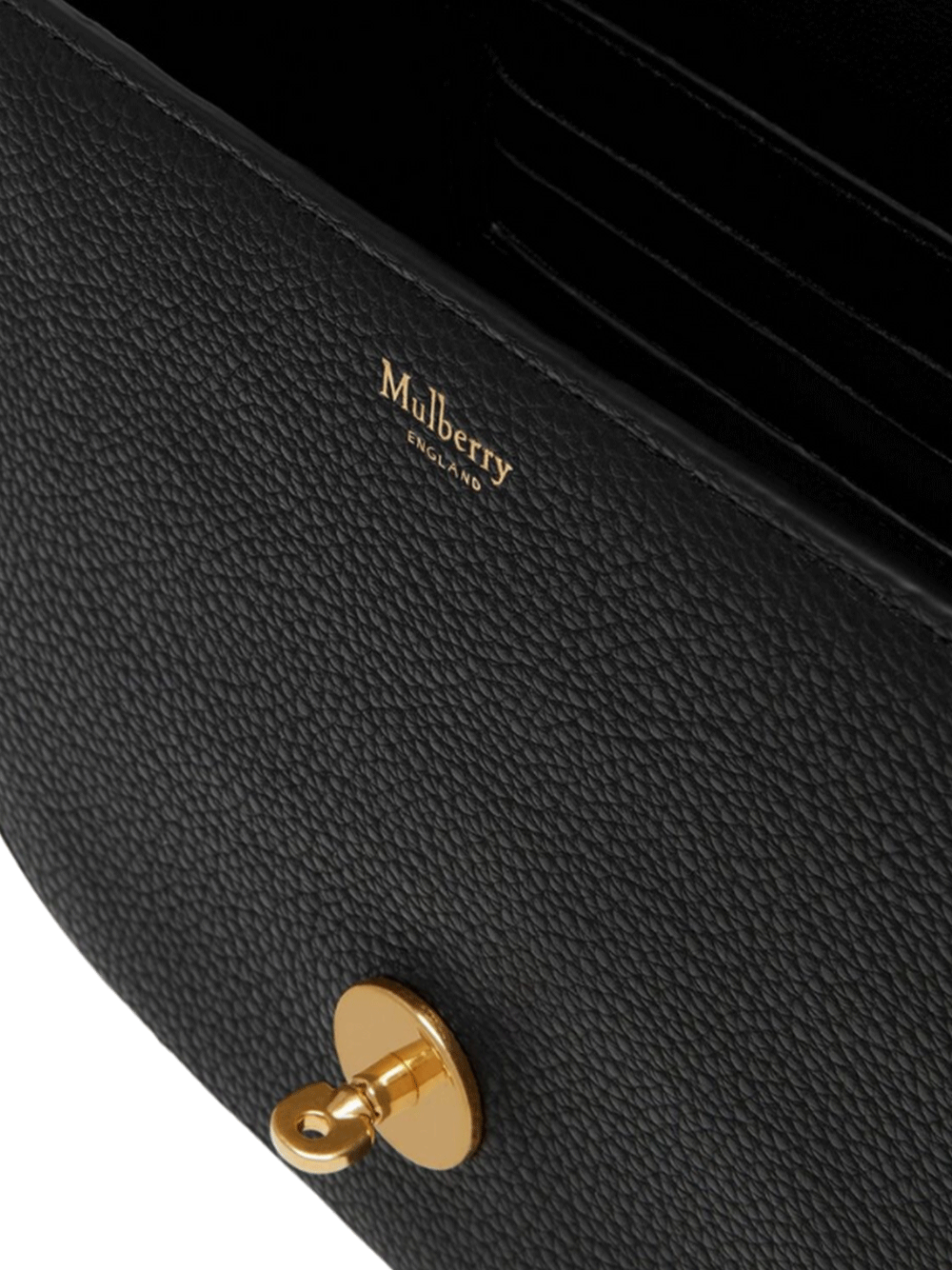 Mulberry-Small-Darley-Satchel-Small-Classic-Grain-Black_5