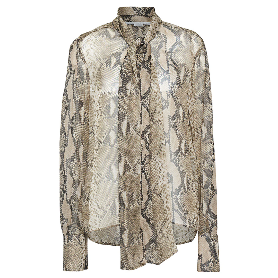 Python Print Shirt