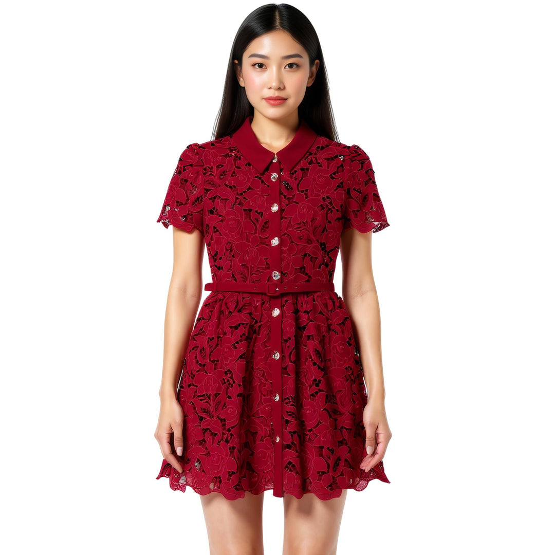 Club21 - Self-Portrait - Burgundy Lace Collared Mini Dress - DRESSES - Burgundy