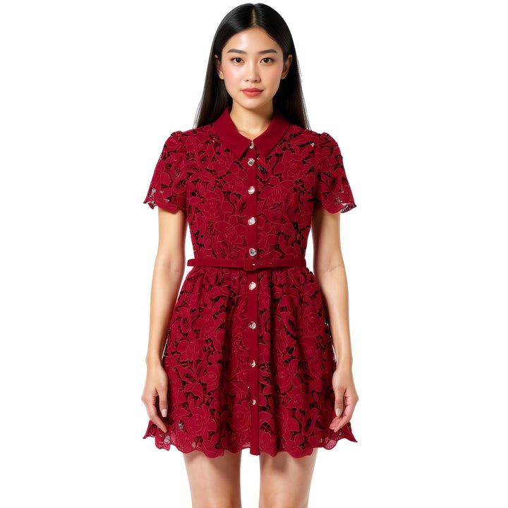 Club21 - Self-Portrait - Burgundy Lace Collared Mini Dress - DRESSES - Burgundy