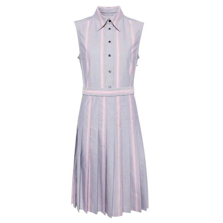 Knee Length Pleated Dress