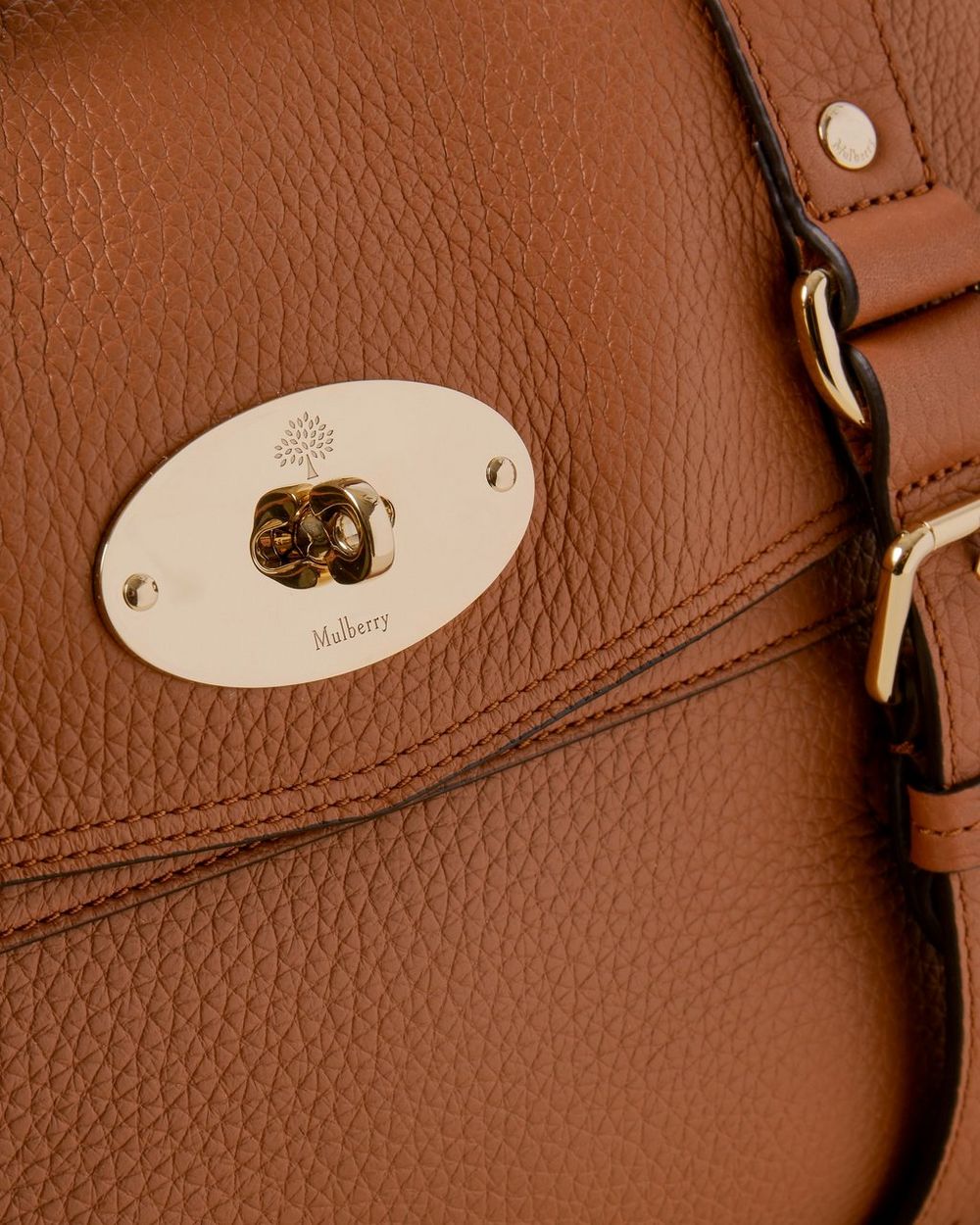 Mulberry Alexa Heavy Grain Brown 4